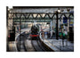 Flying Scotsman at Waverley Station, Edinburgh to celebrate the centenary. unstretched canvas large none Art Print - Science Museum Shop