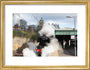 Flying Scotsman leaving Waverley Station, Edinburgh. art print small gold Art Print - Science Museum Shop