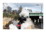 Flying Scotsman leaving Waverley Station, Edinburgh. unstretched canvas extra large none Art Print - Science Museum Shop