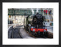 Flying Scotsman at Waverley Station, Edinburgh to celebrate the centenary. art print small black Art Print - Science Museum Shop