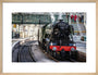 Flying Scotsman at Waverley Station, Edinburgh to celebrate the centenary. art print medium natural Art Print - Science Museum Shop