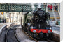 Flying Scotsman at Waverley Station, Edinburgh to celebrate the centenary. stretched canvas medium none Art Print - Science Museum Shop