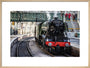 Flying Scotsman at Waverley Station, Edinburgh to celebrate the centenary. art print large natural Art Print - Science Museum Shop