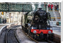Flying Scotsman at Waverley Station, Edinburgh to celebrate the centenary. stretched canvas large none Art Print - Science Museum Shop