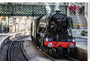 Flying Scotsman at Waverley Station, Edinburgh to celebrate the centenary. stretched canvas extra large none Art Print - Science Museum Shop