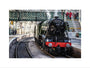 Flying Scotsman at Waverley Station, Edinburgh to celebrate the centenary. art print small none Art Print - Science Museum Shop