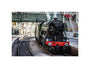 Flying Scotsman at Waverley Station, Edinburgh to celebrate the centenary. unstretched canvas small none Art Print - Science Museum Shop