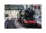 Flying Scotsman at Waverley Station, Edinburgh to celebrate the centenary. unstretched canvas medium none Art Print - Science Museum Shop