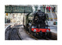 Flying Scotsman at Waverley Station, Edinburgh to celebrate the centenary. unstretched canvas large none Art Print - Science Museum Shop