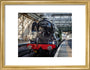 Flying Scotsman at Waverley Station, Edinburgh to celebrate the centenary. art print small gold Art Print - Science Museum Shop