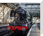 Flying Scotsman at Waverley Station, Edinburgh to celebrate the centenary. stretched canvas small none Art Print - Science Museum Shop