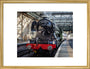 Flying Scotsman at Waverley Station, Edinburgh to celebrate the centenary. art print medium gold Art Print - Science Museum Shop