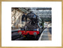 Flying Scotsman at Waverley Station, Edinburgh to celebrate the centenary. art print extra large gold Art Print - Science Museum Shop