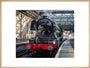 Flying Scotsman at Waverley Station, Edinburgh to celebrate the centenary. art print extra large natural Art Print - Science Museum Shop