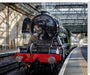 Flying Scotsman at Waverley Station, Edinburgh to celebrate the centenary. stretched canvas extra large none Art Print - Science Museum Shop