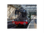 Flying Scotsman at Waverley Station, Edinburgh to celebrate the centenary. art print extra large none Art Print - Science Museum Shop