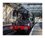 Flying Scotsman at Waverley Station, Edinburgh to celebrate the centenary. unstretched canvas extra large none Art Print - Science Museum Shop