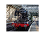 Flying Scotsman at Waverley Station, Edinburgh to celebrate the centenary. art print extra small none Art Print - Science Museum Shop