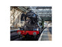 Flying Scotsman at Waverley Station, Edinburgh to celebrate the centenary. art print small none Art Print - Science Museum Shop