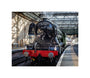 Flying Scotsman at Waverley Station, Edinburgh to celebrate the centenary. unstretched canvas small none Art Print - Science Museum Shop