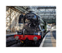 Flying Scotsman at Waverley Station, Edinburgh to celebrate the centenary. unstretched canvas medium none Art Print - Science Museum Shop