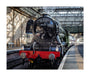 Flying Scotsman at Waverley Station, Edinburgh to celebrate the centenary. unstretched canvas large none Art Print - Science Museum Shop