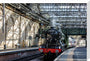 Flying Scotsman at Waverley Station, Edinburgh to celebrate the centenary. stretched canvas large none Art Print - Science Museum Shop