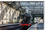 Flying Scotsman at Waverley Station, Edinburgh to celebrate the centenary. stretched canvas extra large none Art Print - Science Museum Shop