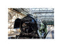 Flying Scotsman at Waverley Station, Edinburgh to celebrate the centenary. unstretched canvas small none Art Print - Science Museum Shop