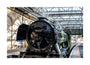 Flying Scotsman at Waverley Station, Edinburgh to celebrate the centenary. unstretched canvas large none Art Print - Science Museum Shop