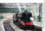 Flying Scotsman at Waverley Station, Edinburgh to celebrate the centenary. stretched canvas small none Art Print - Science Museum Shop