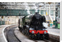 Flying Scotsman at Waverley Station, Edinburgh to celebrate the centenary. stretched canvas large none Art Print - Science Museum Shop