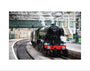 Flying Scotsman at Waverley Station, Edinburgh to celebrate the centenary. art print extra small none Art Print - Science Museum Shop