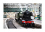 Flying Scotsman at Waverley Station, Edinburgh to celebrate the centenary. unstretched canvas large none Art Print - Science Museum Shop