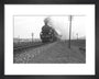 B1 No.1271 on the East Anglian express c.1940's art print extra small black Art Print - Science Museum Shop