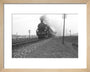 B1 No.1271 on the East Anglian express c.1940's art print extra small natural Art Print - Science Museum Shop