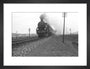 B1 No.1271 on the East Anglian express c.1940's art print small black Art Print - Science Museum Shop