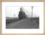 B1 No.1271 on the East Anglian express c.1940's art print small natural Art Print - Science Museum Shop