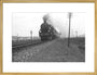 B1 No.1271 on the East Anglian express c.1940's art print large gold Art Print - Science Museum Shop