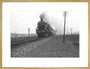 B1 No.1271 on the East Anglian express c.1940's art print extra large gold Art Print - Science Museum Shop