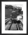 A3 2578 'Bayardo' at Kings Cross art print extra small black Art Print - Science Museum Shop
