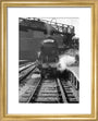 A3 2578 'Bayardo' at Kings Cross art print extra small gold Art Print - Science Museum Shop