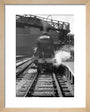 A3 2578 'Bayardo' at Kings Cross art print extra small natural Art Print - Science Museum Shop