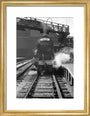 A3 2578 'Bayardo' at Kings Cross art print small gold Art Print - Science Museum Shop