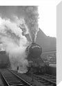 The Yorkshire Pullman at King's Cross, January 1948 stretched canvas small none Art Print - Science Museum Shop