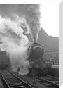 The Yorkshire Pullman at King's Cross, January 1948 stretched canvas medium none Art Print - Science Museum Shop