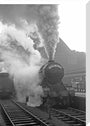The Yorkshire Pullman at King's Cross, January 1948 stretched canvas large none Art Print - Science Museum Shop