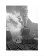The Yorkshire Pullman at King's Cross, January 1948 art print extra small none Art Print - Science Museum Shop