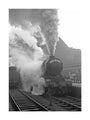 The Yorkshire Pullman at King's Cross, January 1948 unstretched canvas large none Art Print - Science Museum Shop
