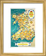 ‘Come to Beautiful Wales’, BR (LMR) poster, 1948-1965. art print extra small gold Art Print - Science Museum Shop